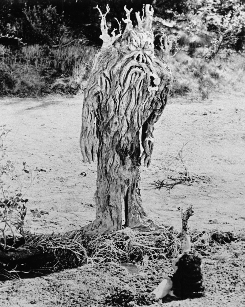 Dan Milner, director, From Hell It Came, 1957, motion picture, Allied Artists.  The Tabanga as it was realized by the Don Post Studios of Hollywood.  A comparison of this image with the Blaisdell artwork strongly suggests that the sketches were used as a guide for the construction of the costume. Click to enlarge.