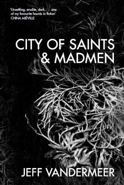 City of Saints and Madmen Jeff VanderMeer interview Tor UK reissue