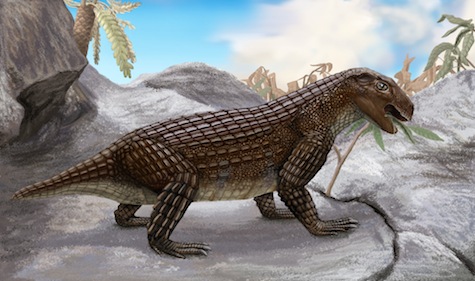 Simosuchus