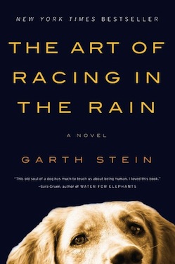 The Art of Racing in the Rain Garth Stein