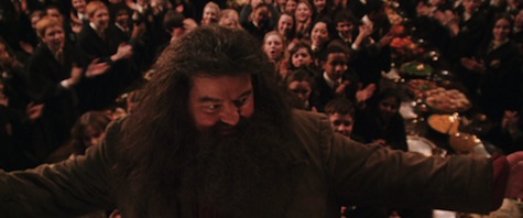 Harry Potter and the Chamber of Secrets film, Hagrid