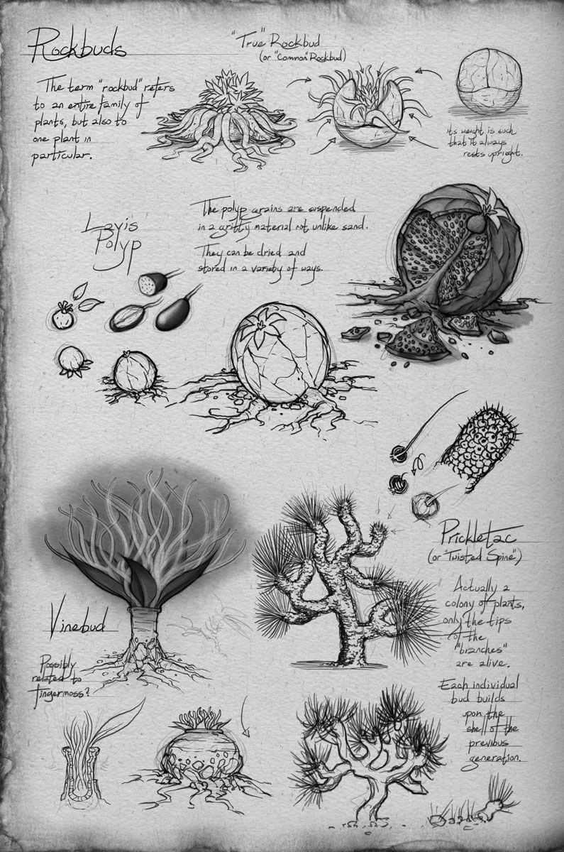 A Field Guide To Roshar Flora The Way of Kings Brandon Sanderson