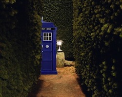 Doctor Potter meme Harry Potter Doctor Who crossover TARDIS hedge maze