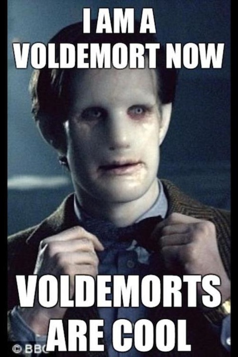 Doctor Potter meme Doctor Who Harry Potter crossover Voldemorts are cool Matt Smith