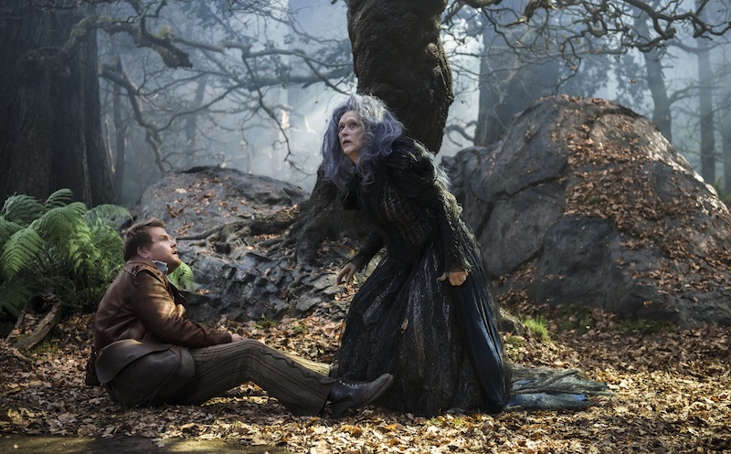 Into the Woods, Baker, Witch
