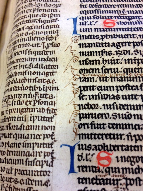 medieval books doodles