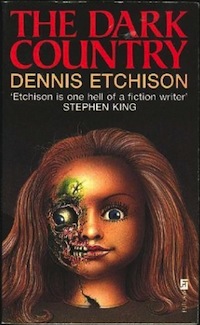Will Etchison The Dark Country UK cover