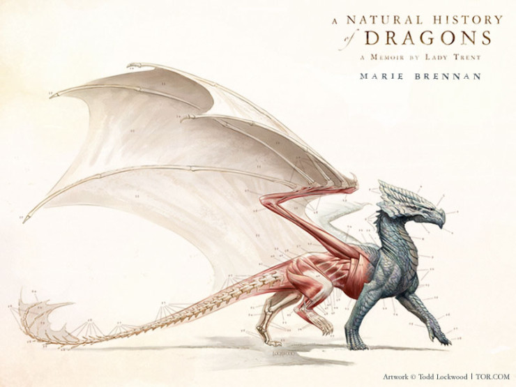 Todd Lockwood cover Natural History of Dragons Marie Brennan
