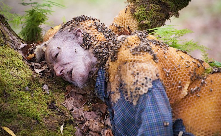 Hannibal Bee Hive Man "Takiawase"