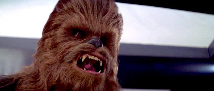 Chewbacca is angry