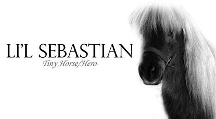 Li'l Sebastian R.I.P.