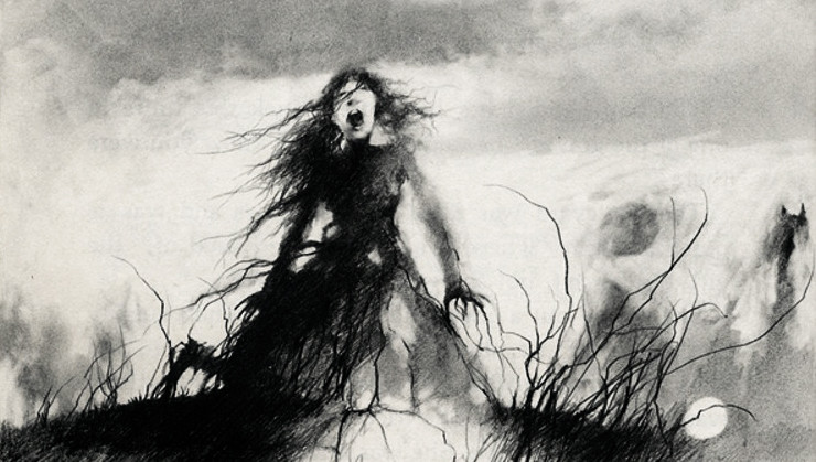 The Girl Who Stood on a Grave by Stephen Gammell