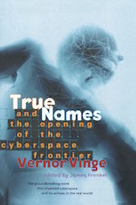 True Names Vernor Vinge virtual reality cyberpunk evolution