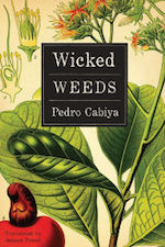 WickedWeeds