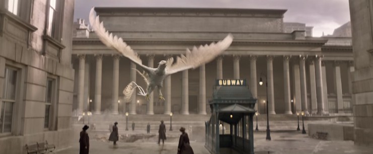 Fantastic Beasts and Where to Find Them trailer