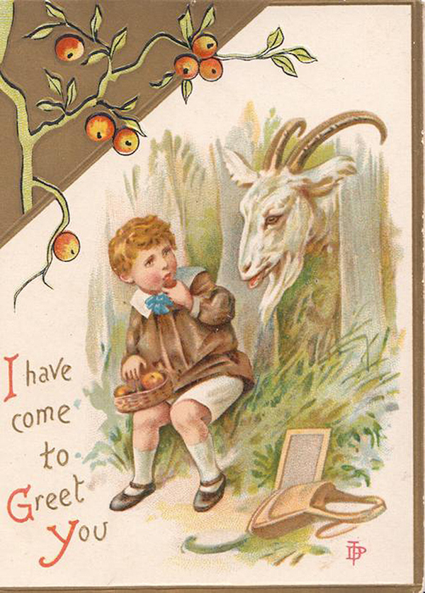 Christmas Card Goat
