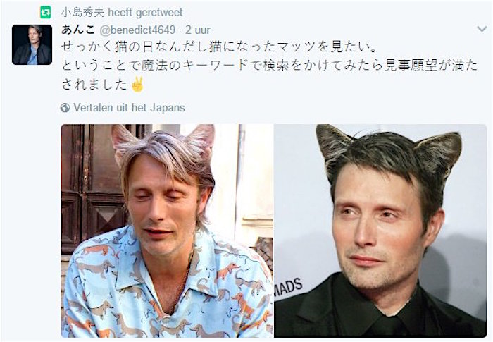 Mads Mikkelsen with cat-ears photoshopped onto his perfect head.