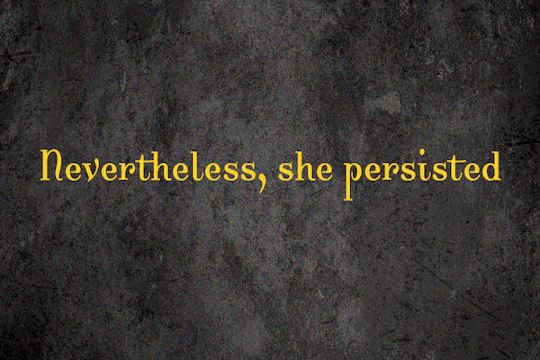 The words "Nevertheless, She Persisted" in yellow on grey.