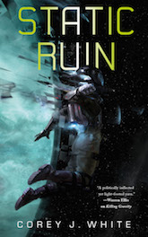 Static Ruin (The Voidwitch Saga)