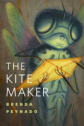 The Kite Maker