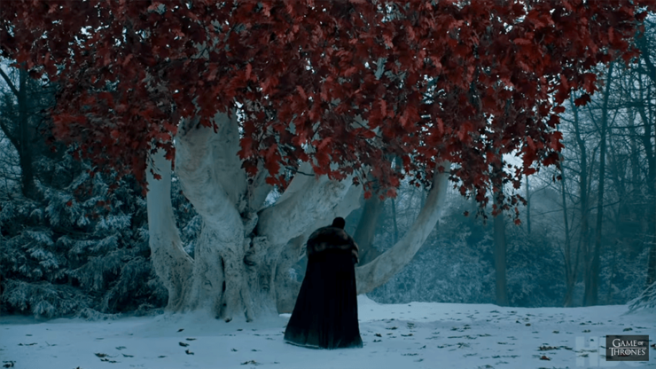 Game of Thrones weirwood tree