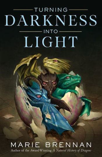 Turning Darkness Into Light by Marie Brennan, cover