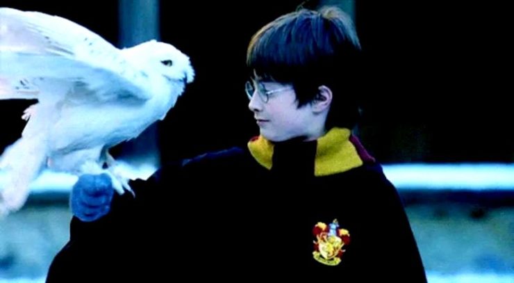 Harry Potter, Harry and Hedwig