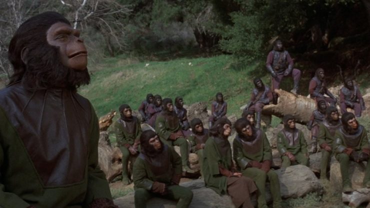 Ape council in Battle of the Planet of the Apes
