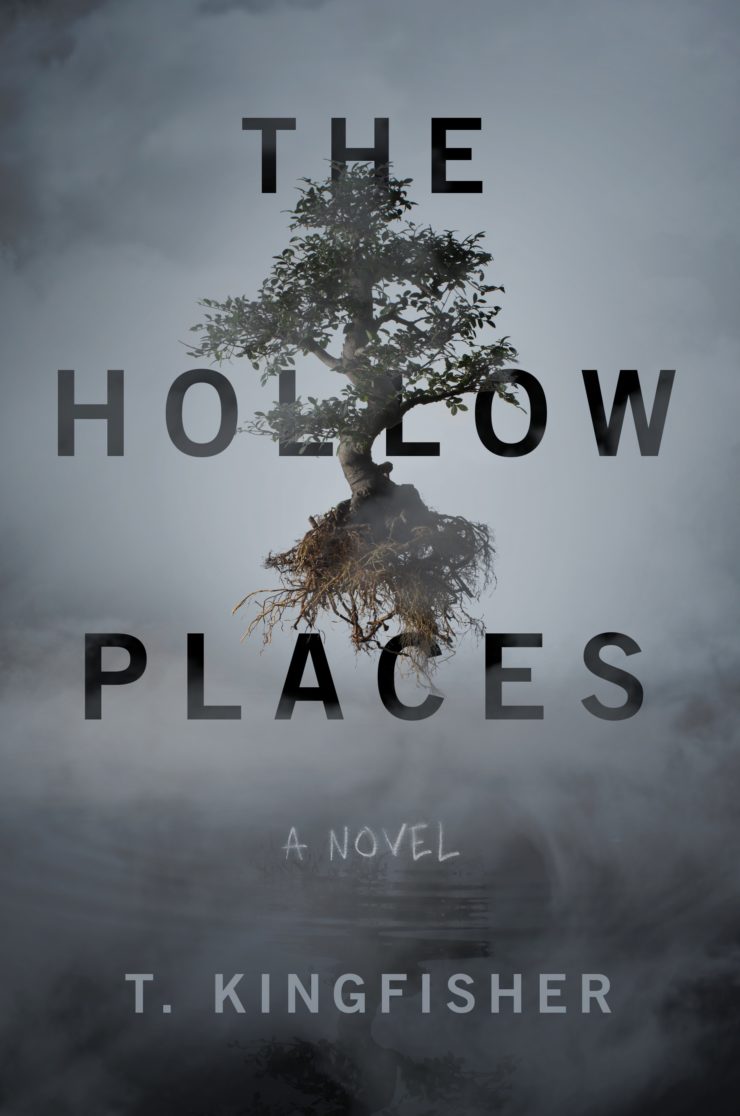 Book cover: The Hollow Places