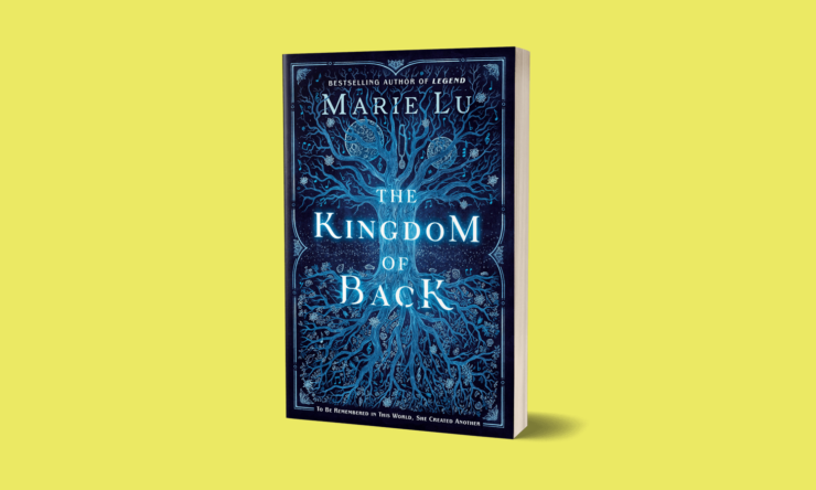 The Kingdom of Back book cover