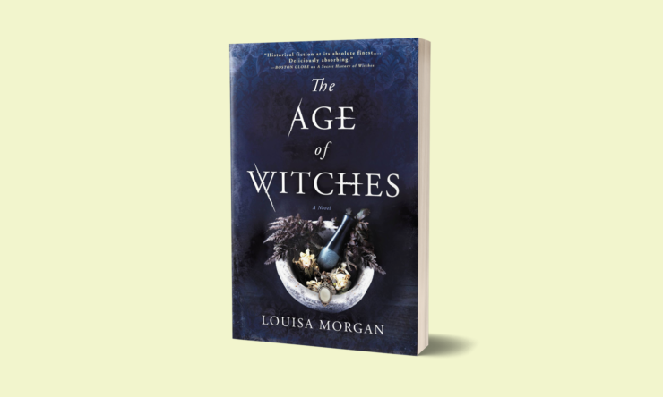 The Age of Witches book cover