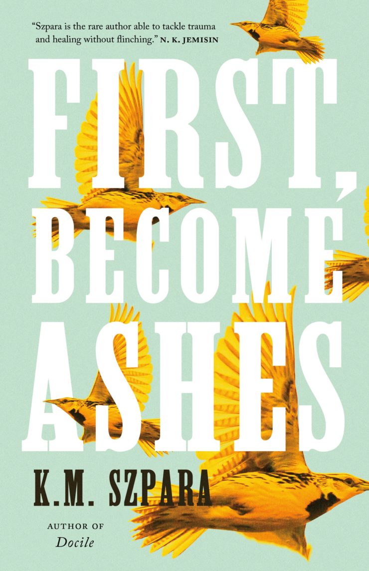 First, Become Ashes book cover