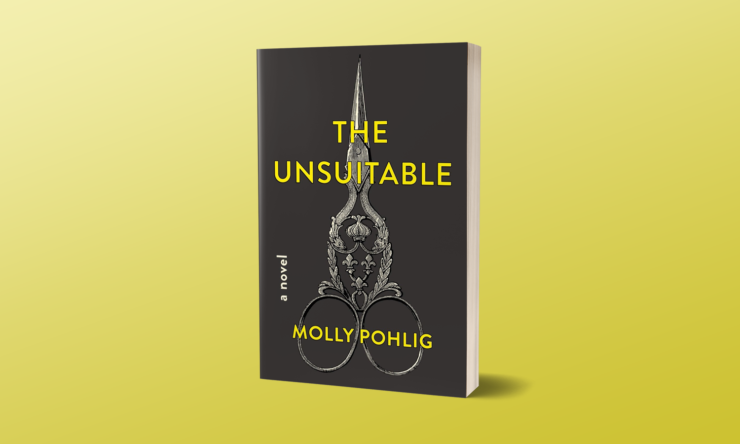 The Unsuitable book cover