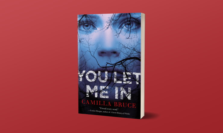You Let Me In book cover