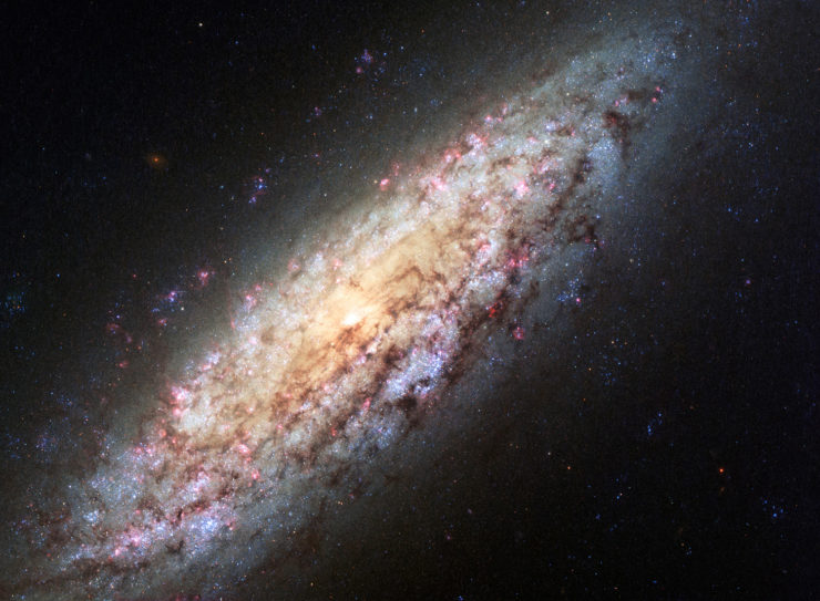 Hubble Telescope image of NGC 6503, a galaxy at the edge of empty space known as the Local Void.
