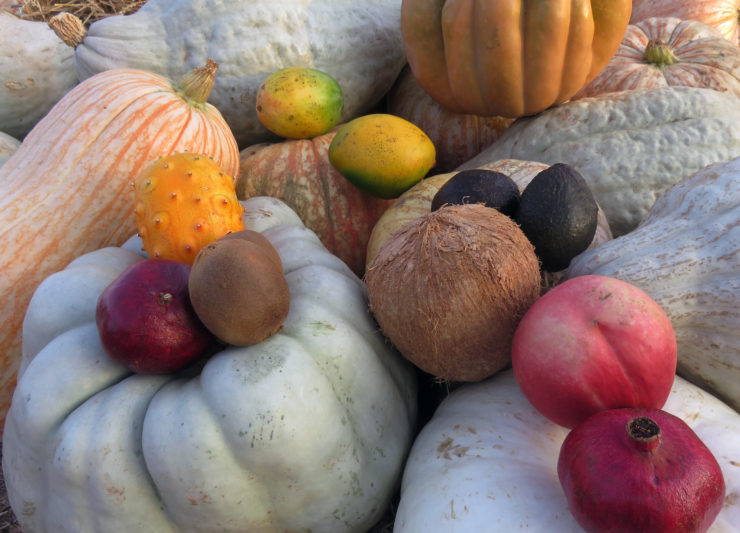 Photo of various gourds and stone fruit