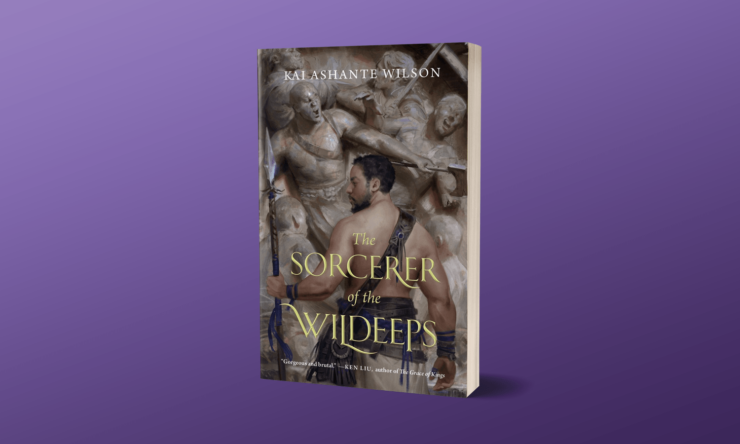 book cover: The Sorcerer of the Wildeeps