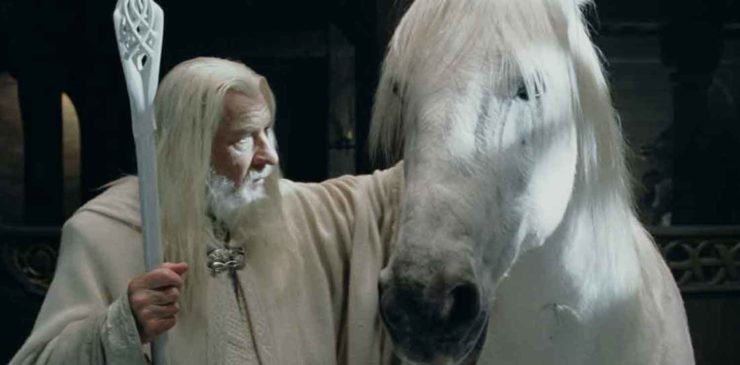 Gandalf and Shadowfax in The Lord of the Rings