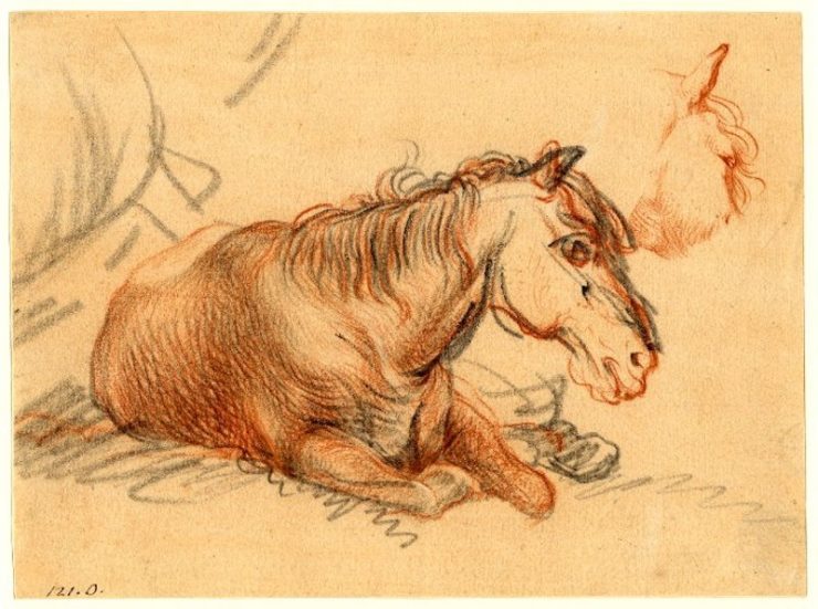 Sketch of a horse lying down, attributed to Rembrandt, c.1626