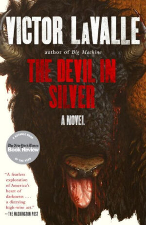 Book cover of The Devil in Silver by Victor Lavalle