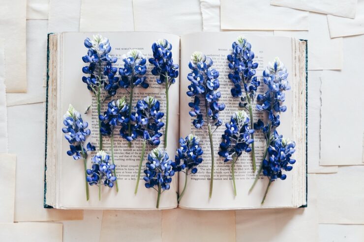 Photograph of an open book covered in blue flowers