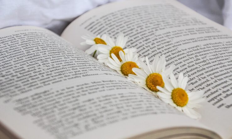 Photograph of an open book with several daisies resting along the spine.