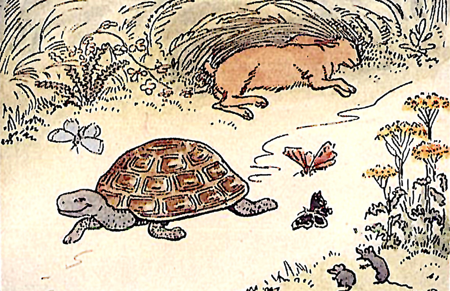 How the Turtle Got Its Shell, With Apologies to Aesop