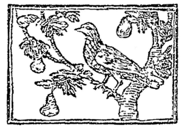 Engraving of a partridge in a pear tree