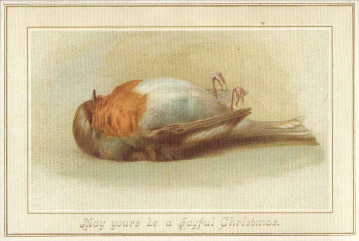 A dead bird is featured on a Victorian Christmas card.