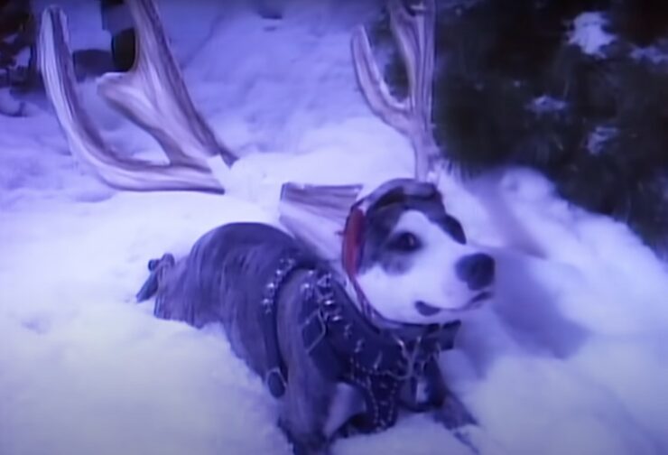 A dog is dressed as a reindeer for Run DMC's "Christmas in Hollis" video.