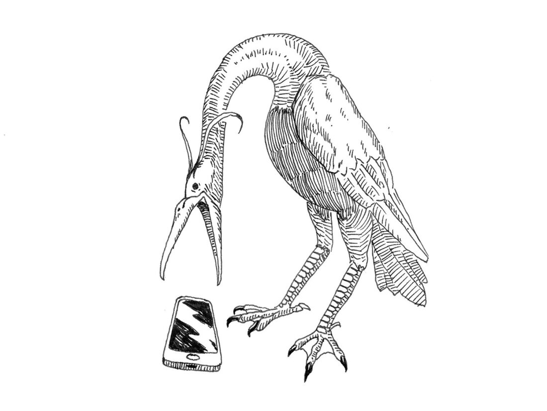 Illustration from Fifty Beasts to Break Your Heart: A heron-like bird stands over a mobile phone, its head turned towards the phone and its beak open.