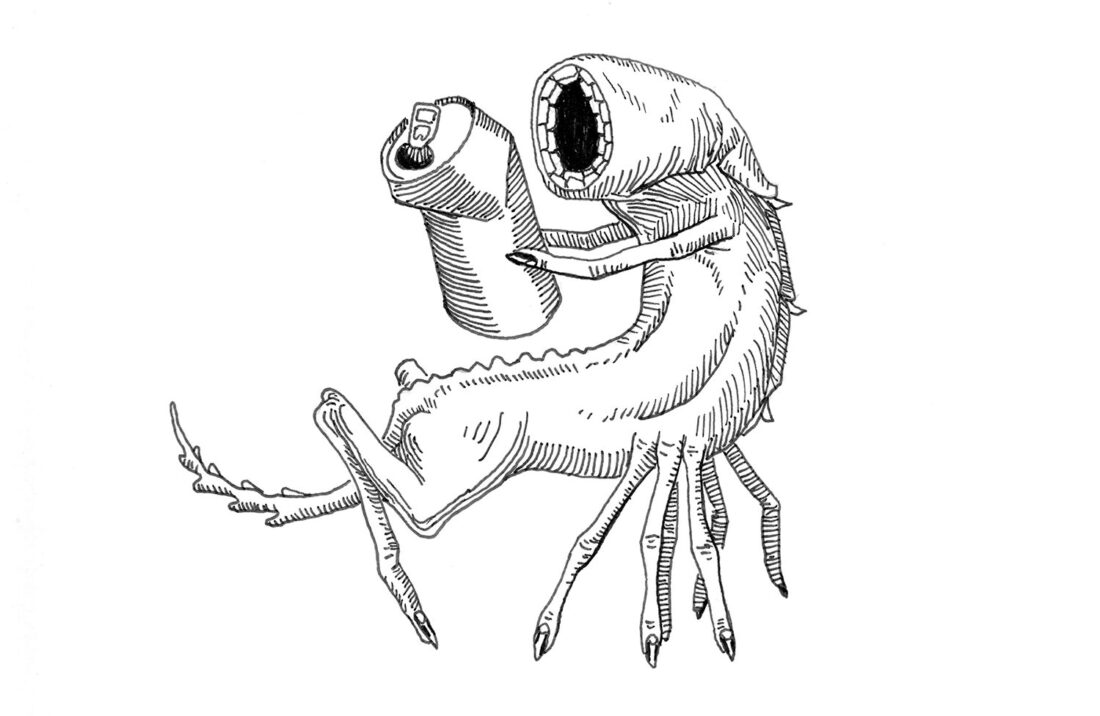 Illustration from Fifty Beasts To Break Your Heart: a bony creature stands on finger-like legs, holding a dented soda can with two of its limbs. Its circular void of a mouth has several rows of teeth visible.