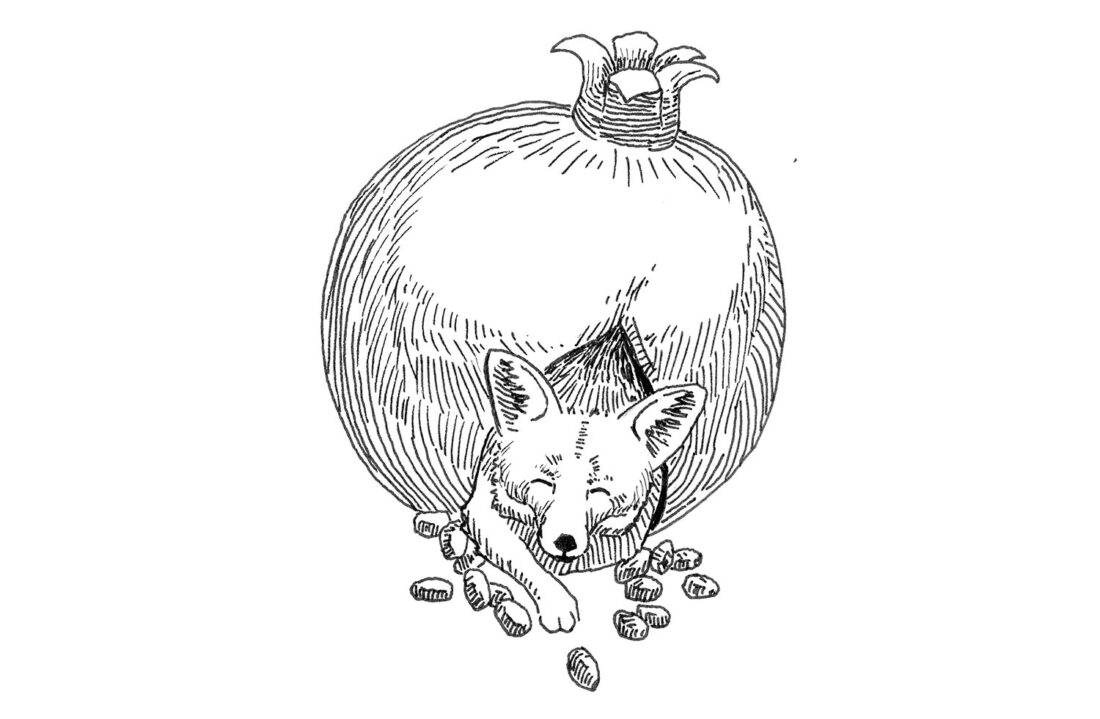 Illustration from Fifty Beasts to Break Your Heart: a fox-like beast emerges from a large pomegranate, its seeds scattered beneath the fox.