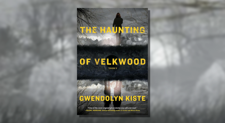 Cover of The Haunting of Velkwood